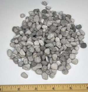 BioMatrix Small 300 ml Bio Media