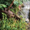 FastFalls Pro 26" Weir - Image 6