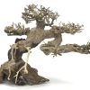 Bonsai Wood - Approx. 9" x 5" x 7"