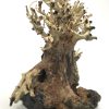 Bonsai Wood with Rock - Approx. 8" x 7" x 4.5" - Image 2