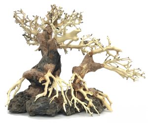 Bonsai Wood with Rock - Approx. 13" x 6" x 10"