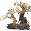 Bonsai Wood with Rock - Approx. 13" x 6" x 10" - Image 2