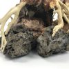 Bonsai Wood with Rock - Approx. 13" x 6" x 10" - Image 3
