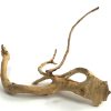 Spider Wood 7-12" - Image 2