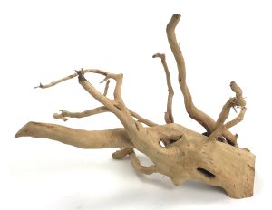 Spider Wood 12-16"