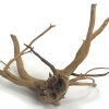 Spider Wood 12-16" - Image 2