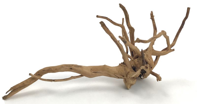Small (4-6) Spider Wood Driftwood – Glass Grown Aquatics