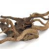 Spider Wood 23-32" - Choice