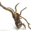Spider Wood 23-32" - Choice - Image 2