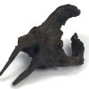 Black Forest Driftwood 23-32" - Image 2