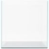 Gem 45 Degree 4 Gal. (LI) Ultra Clear Rimless Aquarium 9.84x9.84x9.84" with Mat 250*250*250 5mm