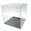 Gem 45 Degree 4 Gal. (LI) Ultra Clear Rimless Aquarium 9.84x9.84x9.84" with Mat 250*250*250 5mm - Image 4
