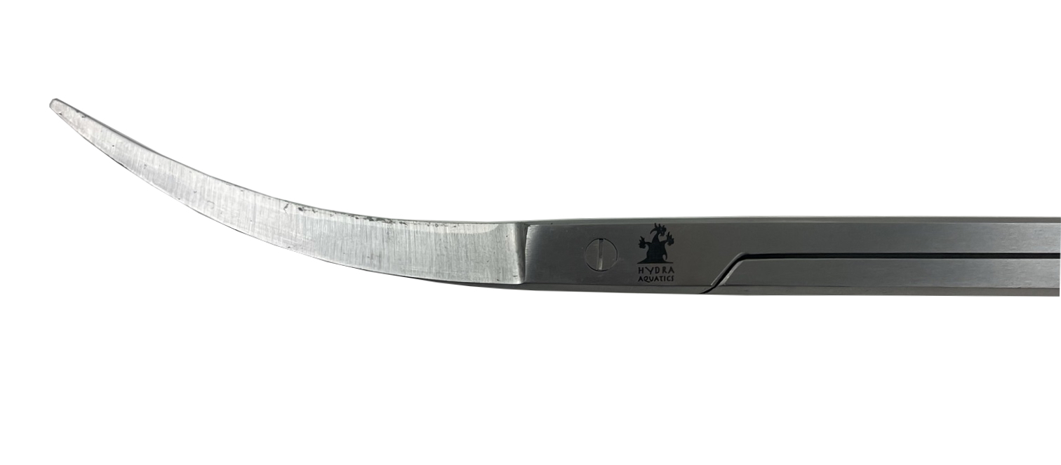Iconic Pro Curved End Scissors Tungsten Carbide - Image 2