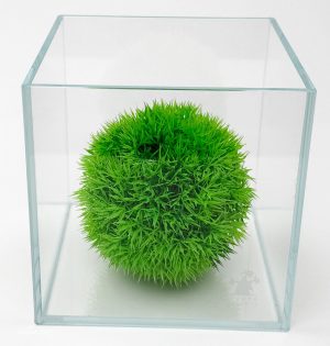 Bono Wabi-kusa 1 Gal Ultra Clear 45 Degree LI Aquarium 16x16x16 cm - 6.3 x 6.3 x 6.3"