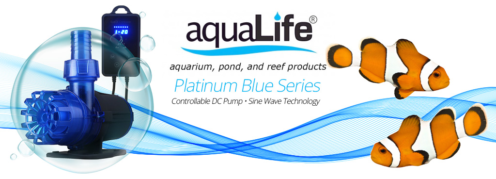 Welcome To Aqualiferx Com Aqualife Aquarium Life Support Systems